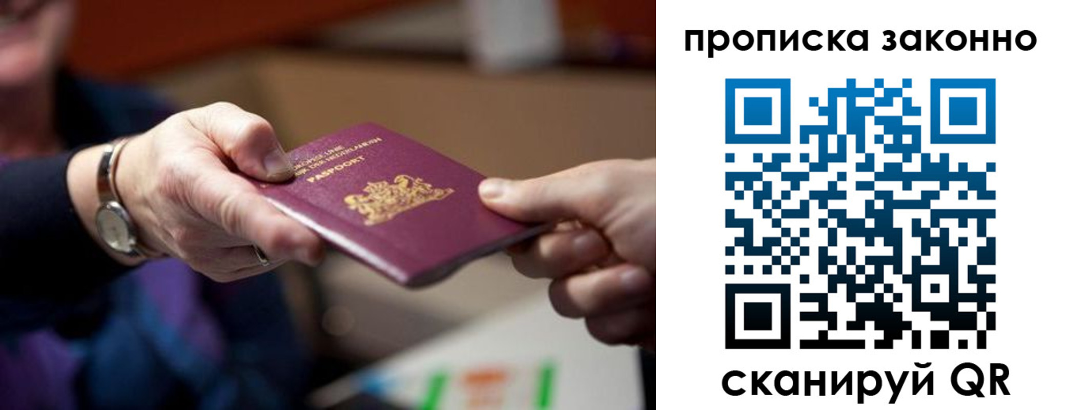 найти адрес прописки в Электрогорске