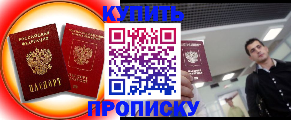 временная прописка в Электрогорске